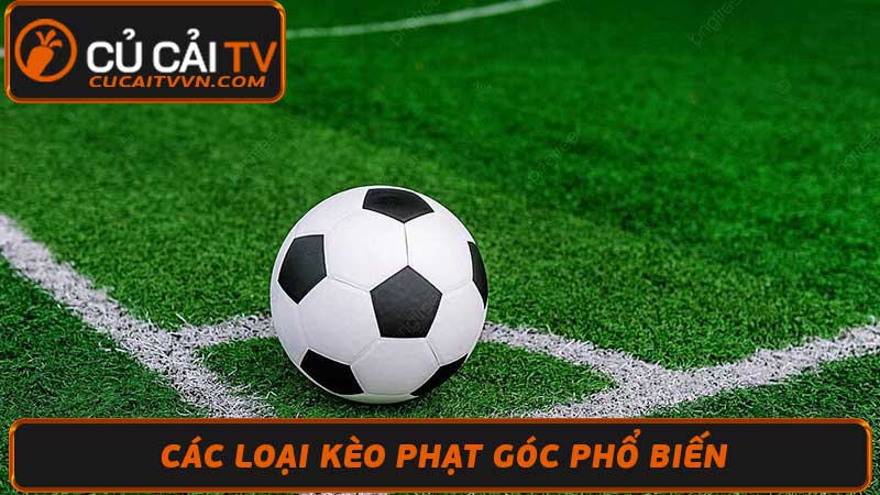 Cá Cược Kèo Phạt Góc Hướng Dẫn Chi Tiết & Kinh Nghiệm