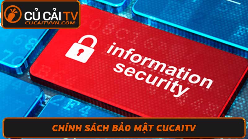 Chính Sách Bảo Mật Cucaitv - Chúng tôi cam kết với người xem