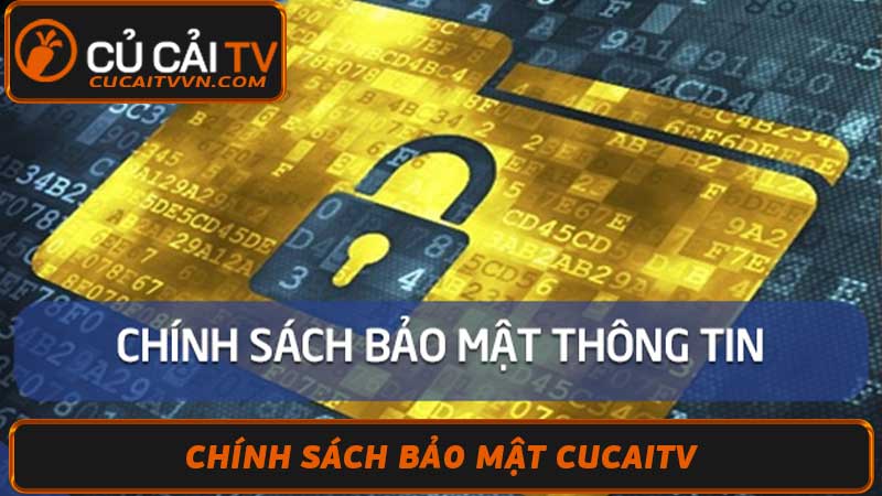 Chính Sách Bảo Mật Cucaitv - Chúng tôi cam kết với người xem