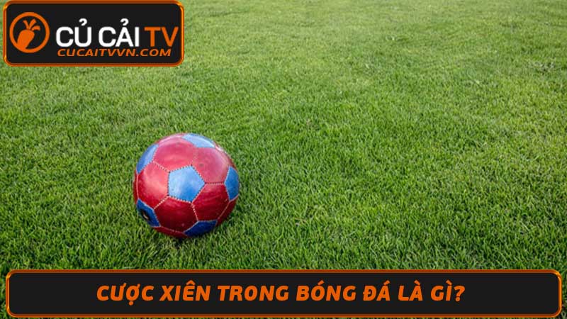 Cược Xiên Là Gì Hướng Dẫn Cách Đặt Cược Xiên Chi Tiết