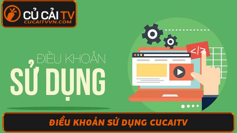 Điều Khoản Sử Dụng Cucaitv - Thông Tin Hữu Ích Cần Cho Bạn