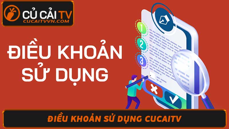 Điều Khoản Sử Dụng Cucaitv - Thông Tin Hữu Ích Cần Cho Bạn