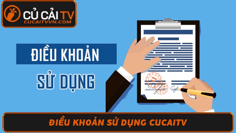 Điều Khoản Sử Dụng Cucaitv - Thông Tin Hữu Ích Cần Cho Bạn