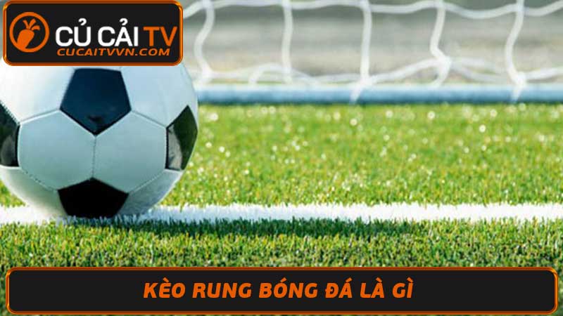 Kèo Rung Là Gì Hướng Dẫn Cách Đánh Kèo Rung Bóng Đá