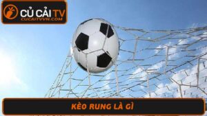 Kèo Rung Là Gì Hướng Dẫn Cách Đánh Kèo Rung Bóng Đá