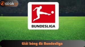 Top chân sút cực hot tại giải bóng đá Bundesliga