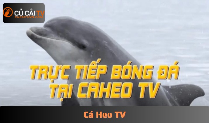 Cá Heo TV là gì? Nơi xem bóng nhưng không nên xem ẩu