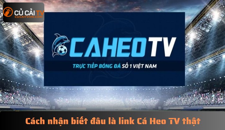 Cách nhận biết đâu là link Cá Heo TV thật